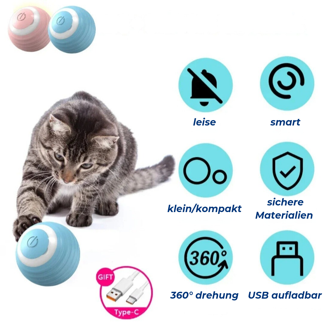 RotatingCat