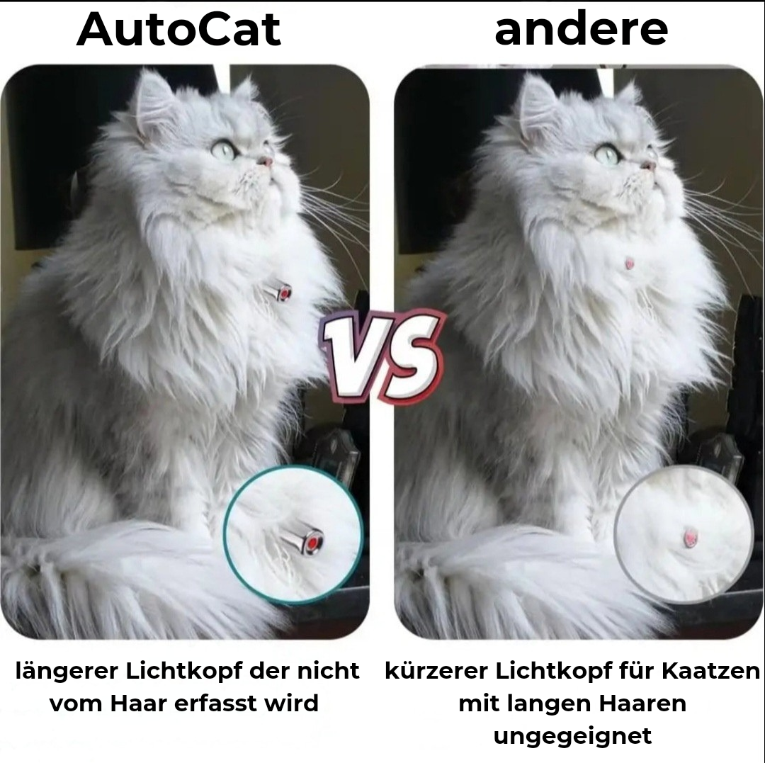 AutoCat