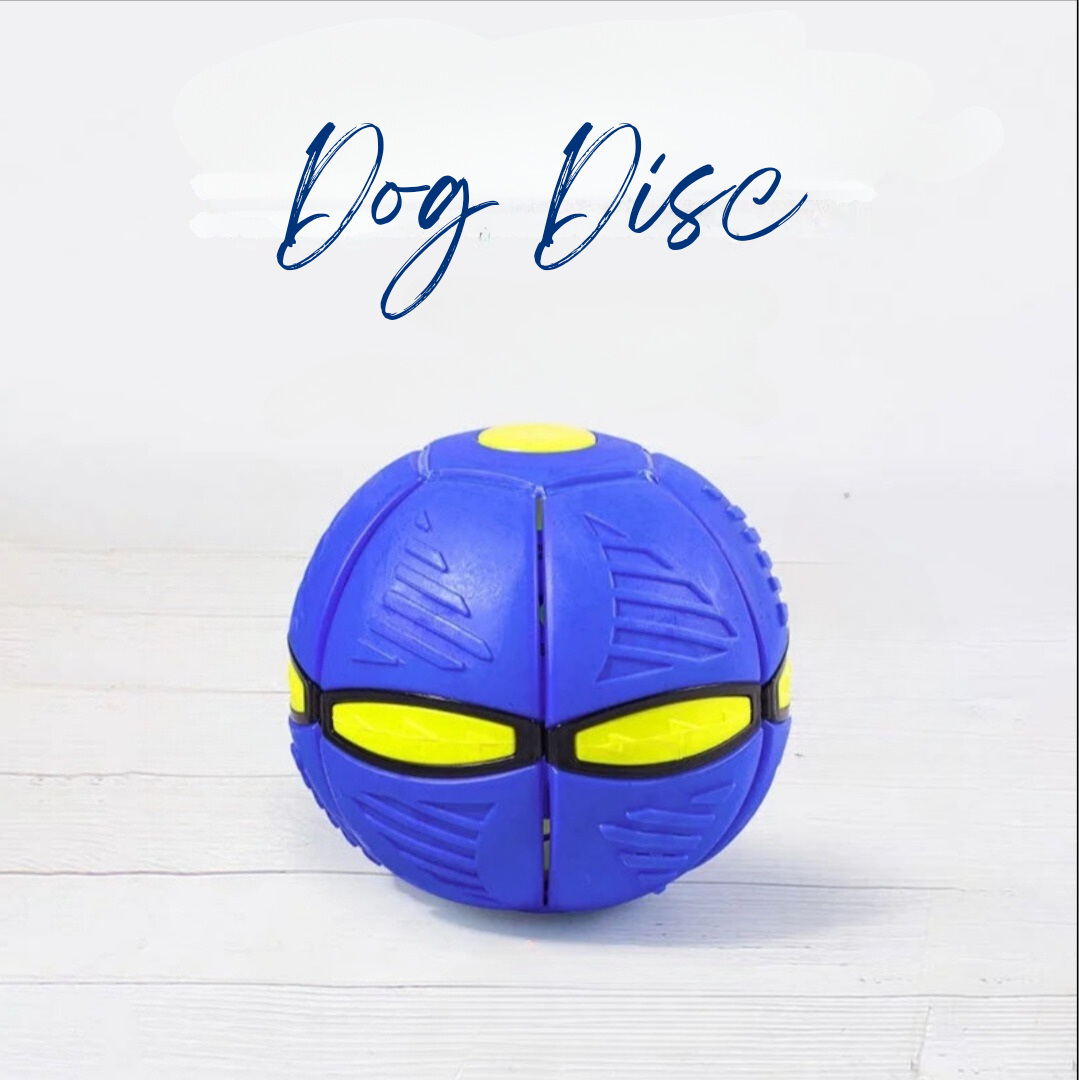 DogDisc