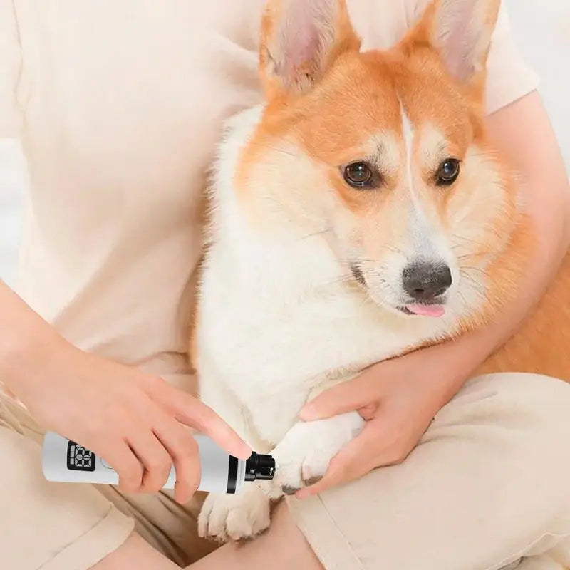PetGrinder Elektrischer LED Nagelschleifer für Haustiere
