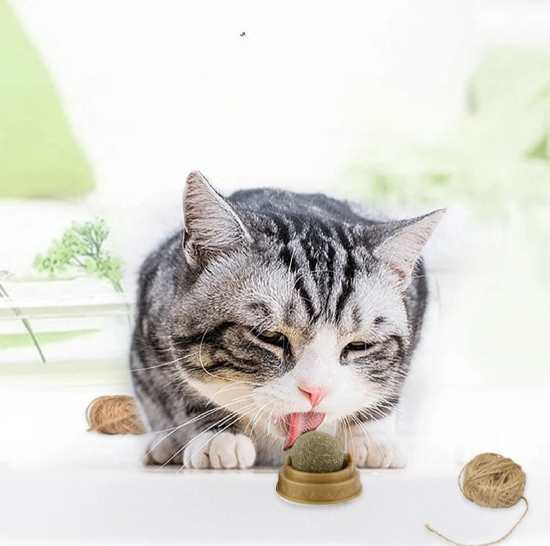Natürliche Katzenminze Aufklebball