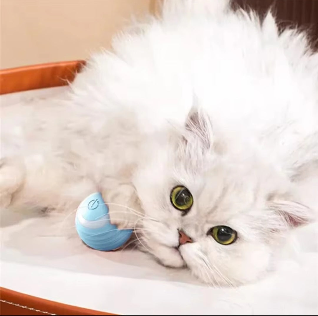 RotatingCat