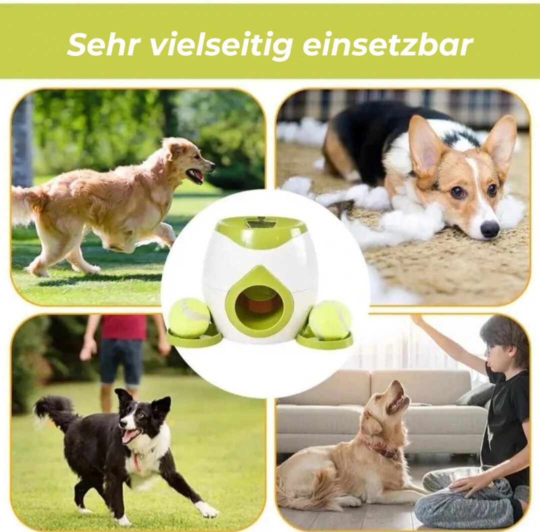 DogThrower