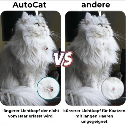 AutoCat