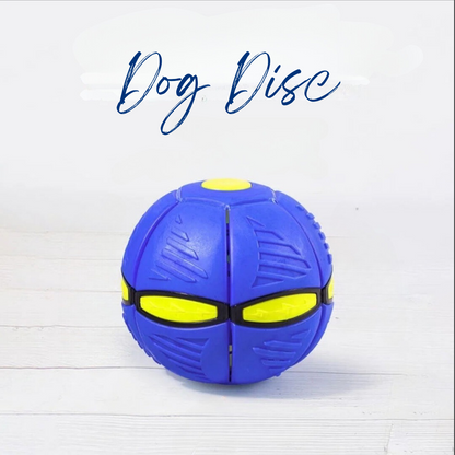 DogDisc
