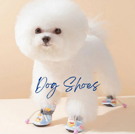 DogShoes
