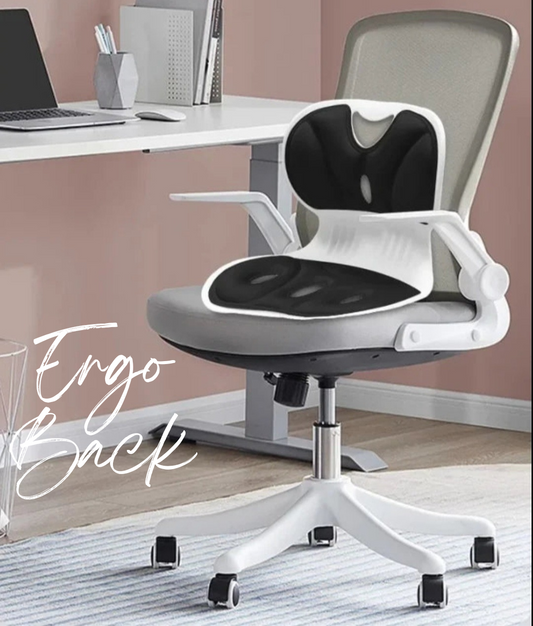 ErgoBack