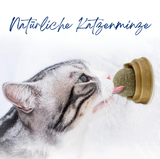 Natürliche Katzenminze Aufklebball