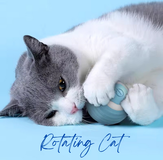RotatingCat
