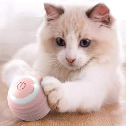 RotatingCat