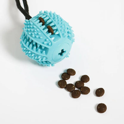 Chewy